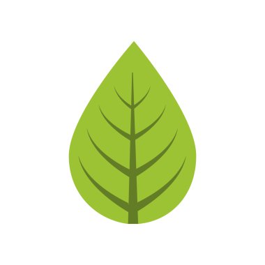 yaprak doğa bitki yeşil simge. Vektör grafiği