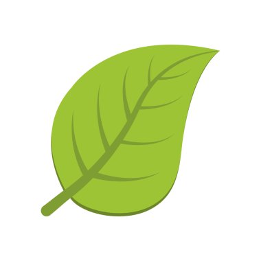 yaprak doğa bitki yeşil simge. Vektör grafiği