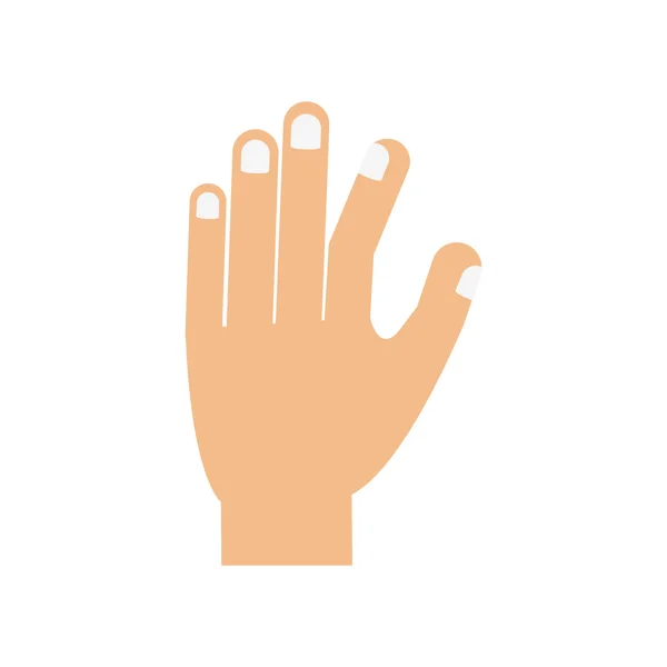Mano umana palmo dita icona gesto. Grafico vettoriale — Vettoriale Stock
