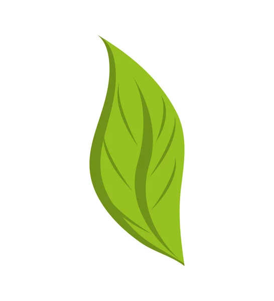 Folha verde ícone da natureza da planta. Gráfico vetorial — Vetor de Stock