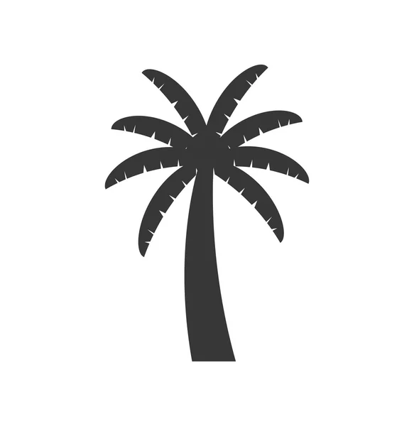 Palmier plante nature saison icône. Graphique vectoriel — Image vectorielle
