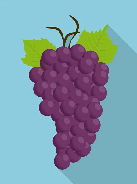 Uvas fruta morada alimento orgánico icono. Gráfico vectorial — Vector de stock