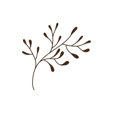 doğa bitki simgesi yaprak. Vektör grafiği