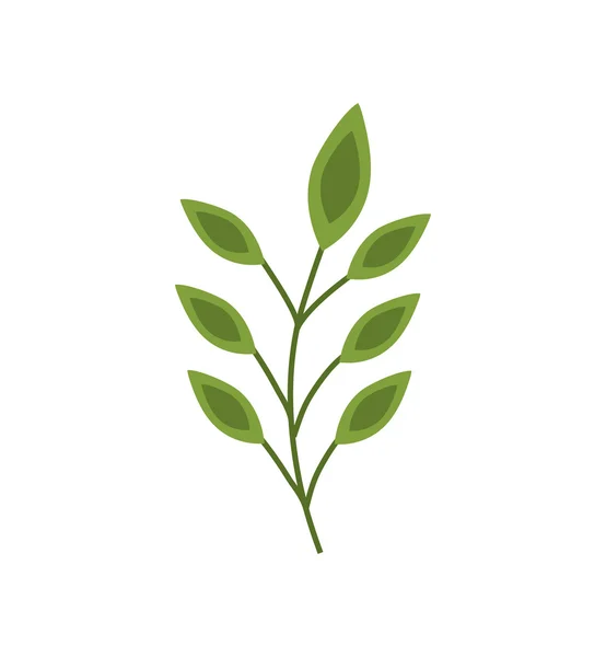 Blad bladen gröna naturen växt ikonen. Vektorgrafik — Stock vektor