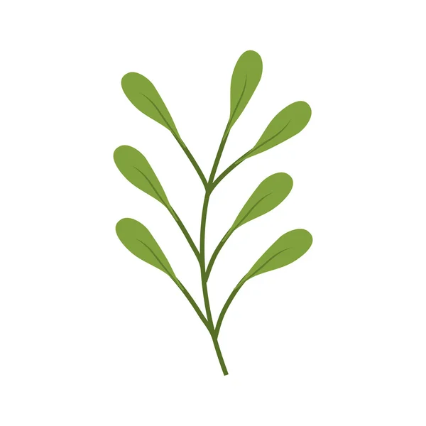 Листья листьев зеленой природы икона растения. Векторная графика — стоковый вектор