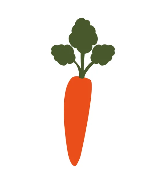 Καρότο υγιεινά τρόφιμα βιολογικά εικονίδιο — Διανυσματικό Αρχείο
