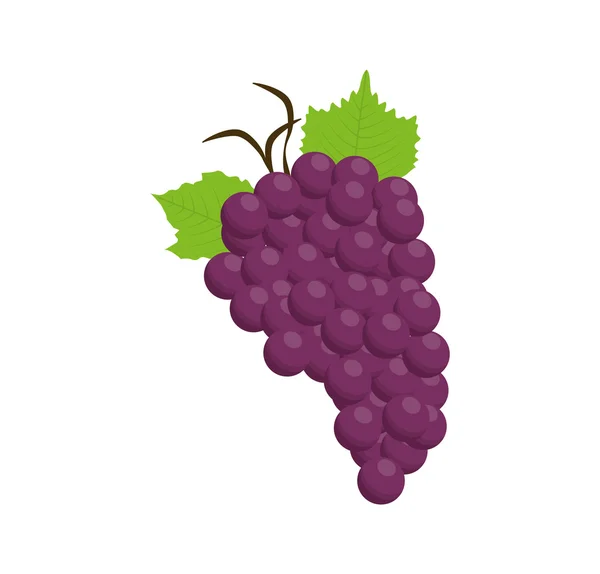 Grapes purple food fruit con — Stock Vector
