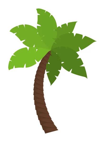 Palm tree nature plant design — Stock Vector