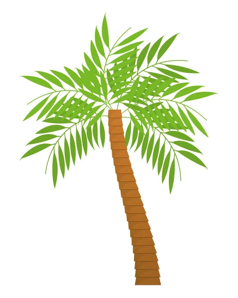 Palm tree φύση σχεδιασμού των εγκαταστάσεων — Διανυσματικό Αρχείο
