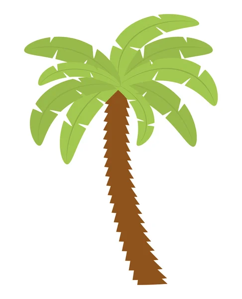 Palm tree natur växt design — Stock vektor