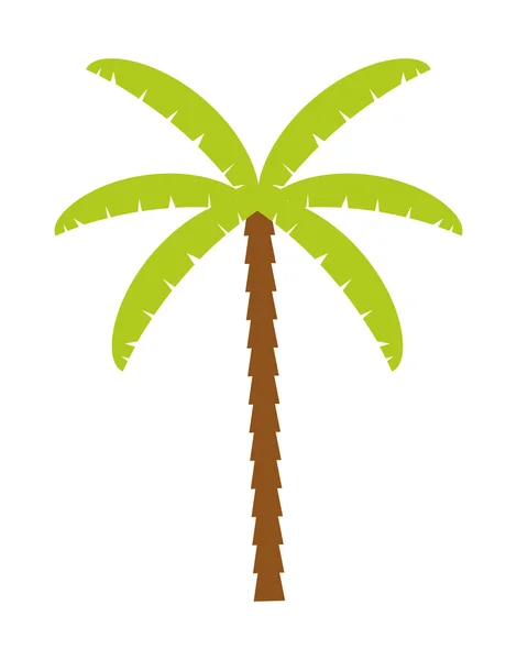 Palm tree természet növényi design — Stock Vector