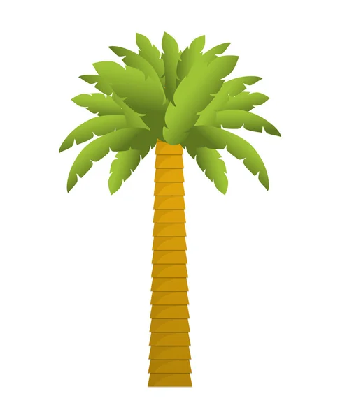 Palm tree természet növényi design — Stock Vector