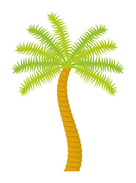 Palm tree nature plant design — Stock Vector