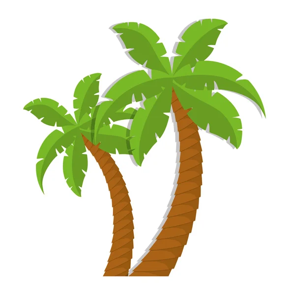 Palmera naturaleza planta diseño — Vector de stock