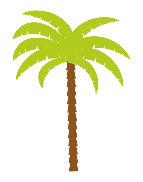 Palma natura pianta design — Vettoriale Stock