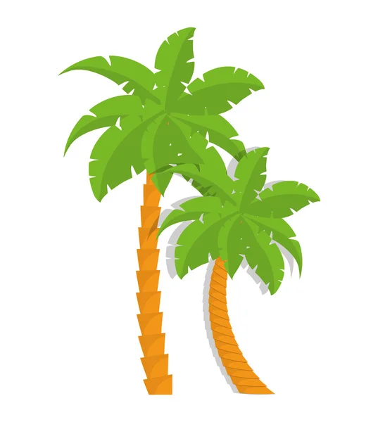 Palm tree nature plant design — Stock Vector