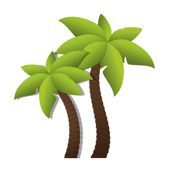 Palm boom natuur IFS/plant design — Stockvector