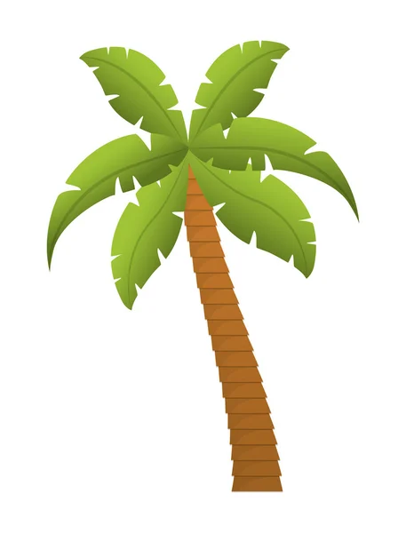 Palmera naturaleza planta diseño — Vector de stock