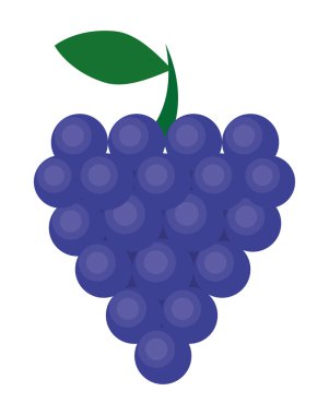 meyve sağlıklı organik gıda tasarım