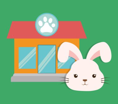 tavşan çizgi film evde beslenen hayvan tasarım