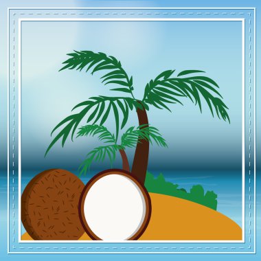 Hindistan cevizi meyve ve yaz konsepti