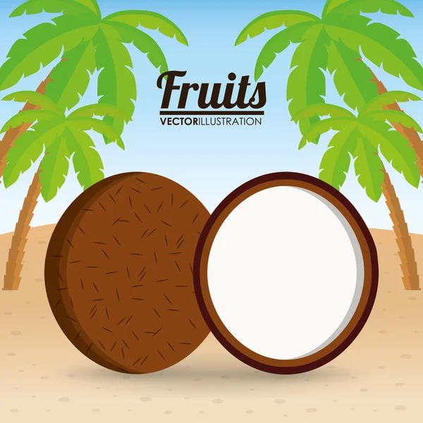 코코넛 과일과 여름 컨셉 — 스톡 벡터