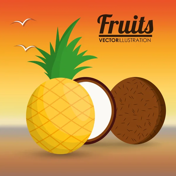 Coco piña fruta y concepto de verano — Vector de stock