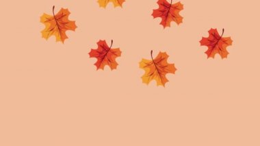 Akçaağaç yapraklı Şükran Günü animasyonunuz kutlu olsun.