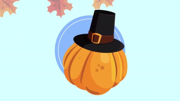 Happy thanksgiving day animation with pumpkin wearing pilgrim hat — Stock Video