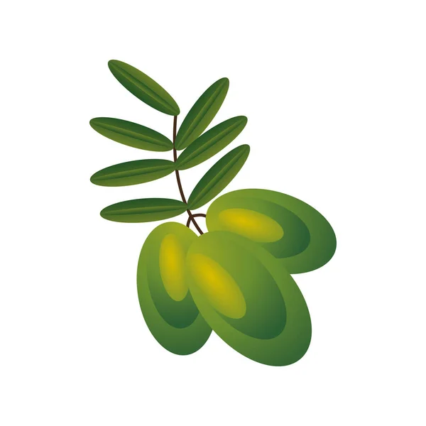 Tak met olijven en bladeren natuur plat pictogram — Stockvector