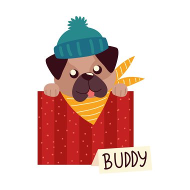 Şapkası ve atkısı olan şirin bir köpek yavrusu.