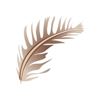 Tüy süsleme boho simgesi