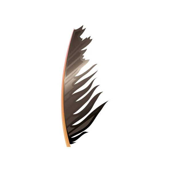Fjäder mjukhet dekoration natur ikon — Stock vektor