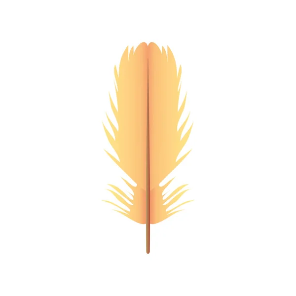 Plume décoration beauté antique icône — Image vectorielle