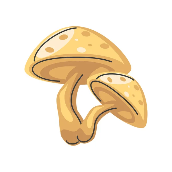 Pilze frische Natur Ernte detailliertes Symbol — Stockvektor