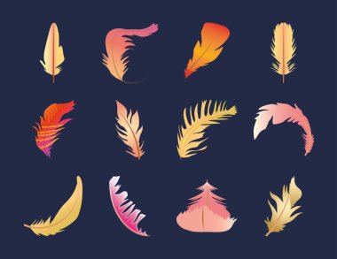 Tüylerin çeşitli motifleri ve şekilleri var.