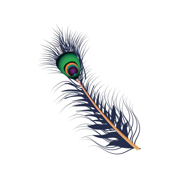 Pluma de pavo real elegante icono de la naturaleza decoración — Vector de stock