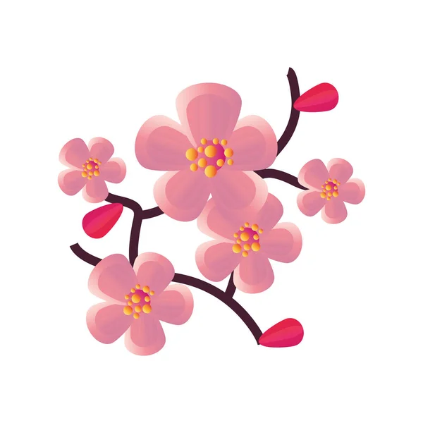 Design de vetor de flores rosa chinesa — Vetor de Stock