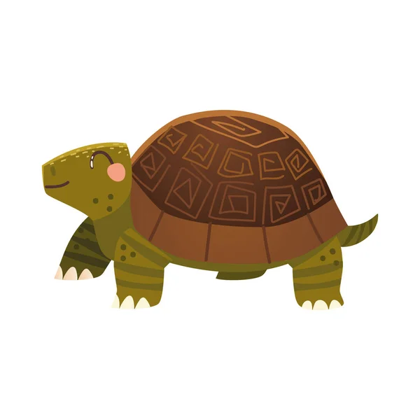 Lindo animal de dibujos animados tortuga icono sobre el diseño de fondo blanco — Vector de stock