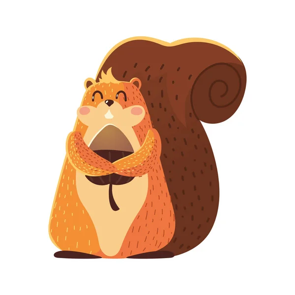 Słodkie wiewiórka z żołędzia kreskówki zwierzę ikona na białym tle projektu — Wektor stockowy