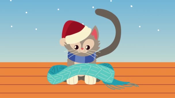 Carino piccolo gatto con abito di Natale — Video Stock