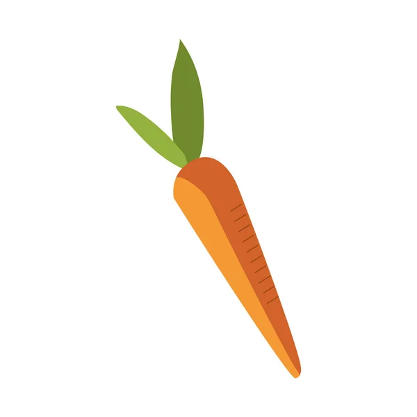 Kartun sayuran wortel segar, ikon gambar terisolasi - Stok Vektor