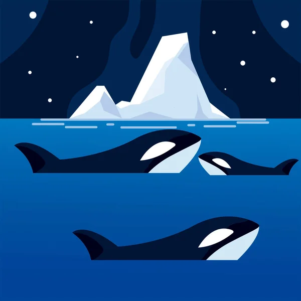 Orca ballenas iceberg mar polo norte noche — Archivo Imágenes Vectoriales