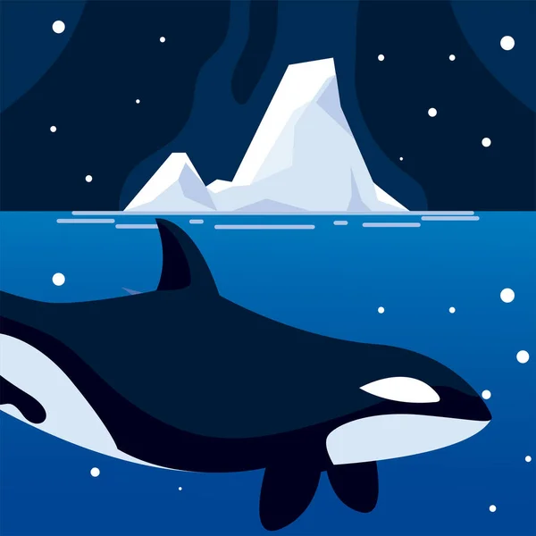 Orca ballena polo norte animal y iceberg cielo nocturno — Archivo Imágenes Vectoriales