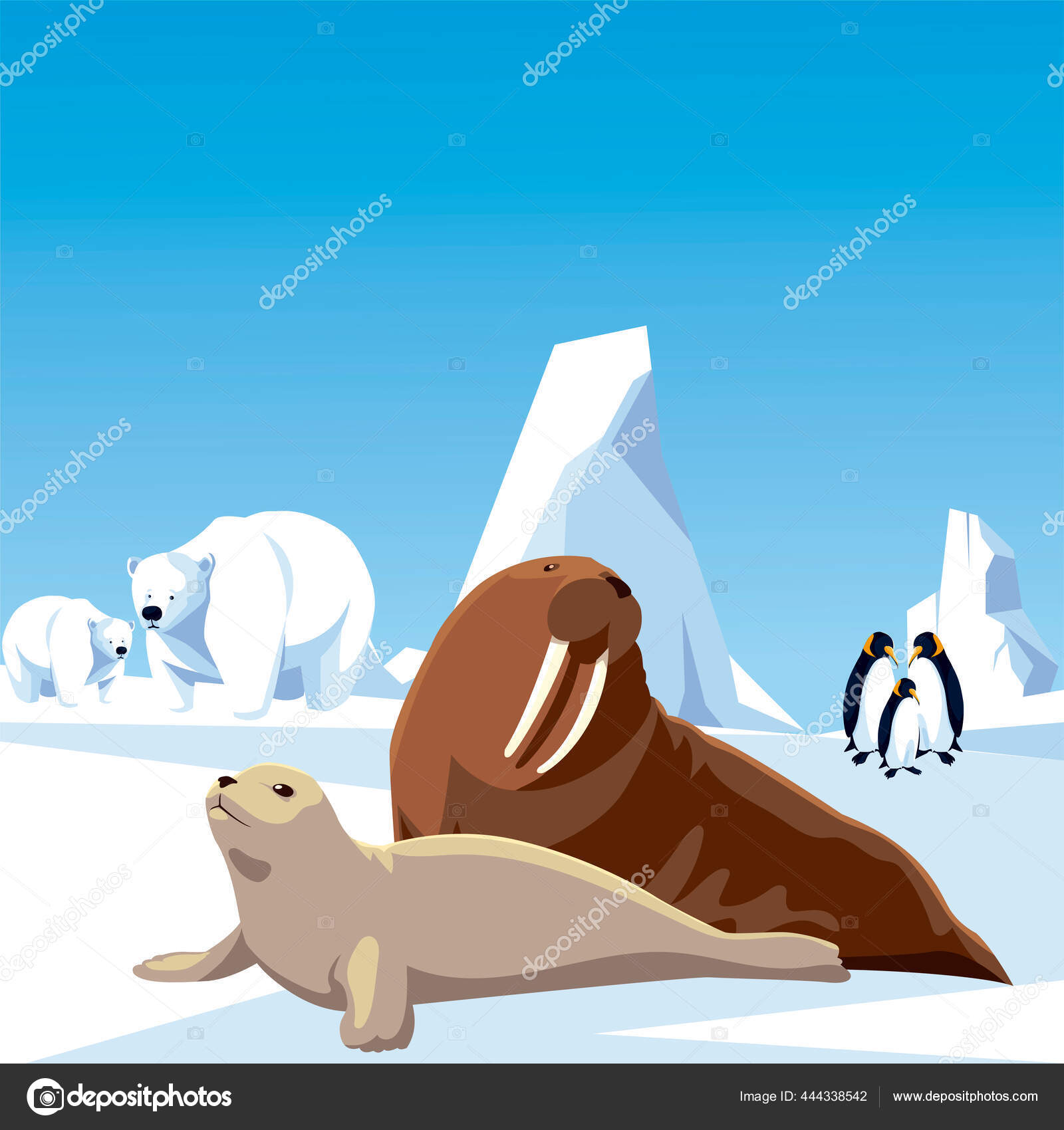 Penguins polar bears walrus and seal animals north pole and iceberg landscape Stock Vector Image by ©djv #444338542 Penguins polar bears walrus and seal animals north pole and iceberg landscape Stock Vector Image by ©djv #444338542