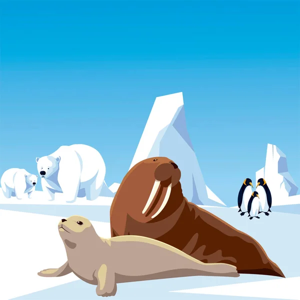 Pingwiny niedźwiedzie polarne morsy i foki zwierzęta biegun północny i krajobraz góry lodowej — Wektor stockowy