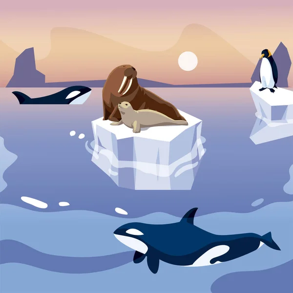 Tricheco e pinguino sulle balene di orca iceberg in mare — Vettoriale Stock