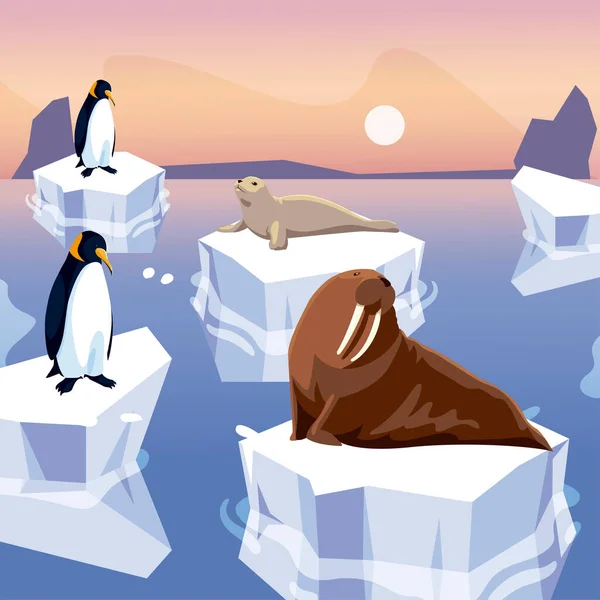 Selo de morsa e pinguins em pé no polo norte do iceberg —  Vetores de Stock