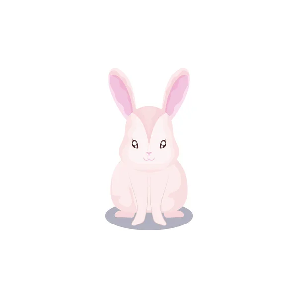 Animal de compagnie, mignon lapin animal domestique fond blanc — Image vectorielle