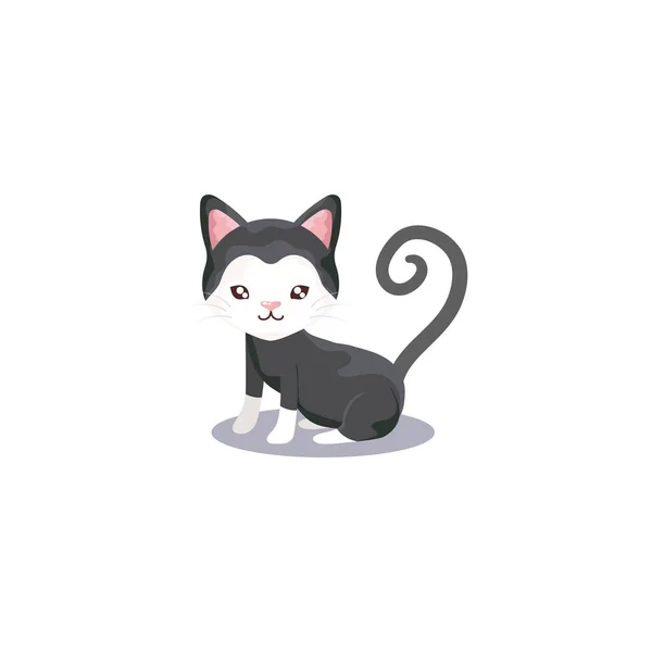 Mascota, lindo gato animal doméstico, fondo blanco — Vector de stock